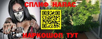 стафф Новокубанск