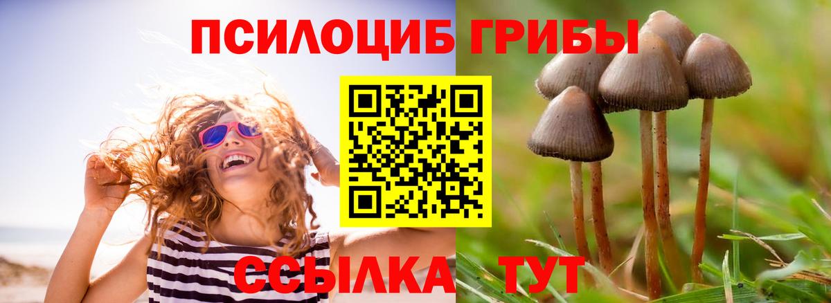 Псилоцибиновые грибы Cubensis  Вход с VPN  Псилоцибиновые грибы Psilocybine cubensis  Улан-Удэ 